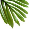 Planta artificiala, palmier cu ghiveci, verde, 150 cm