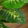 Planta artificiala cu ghiveci, verde, 95 cm