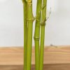 Planta artificiala, bambus cu ghiveci, verde, 16×120 cm