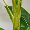 Planta artificiala, bananier cu ghiveci, verde, 150 cm