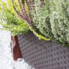 Set 4 jardiniere decorative, Prosperplast, imitatie ratan, maro, 49.2×17.2×17.4 cm