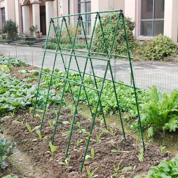 Ansamblu suport araci cu plasa pentru crestere castraveti, fasole, mazare, 210x210x1.1 cm
