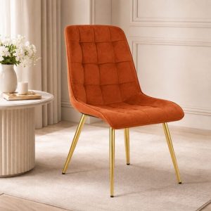 Scaun bucatarie/living