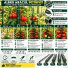 Set 100 araci gradina, suport pentru rosii, flori si plante cataratoare, otel acoperit cu PVC, rezistenti la rugina, verde, 120x2.0 cm, Artool