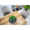Set 6 scaune tip fotoliu bucatarie/living, Artool, Lugo, catifea argintie, picioare metal negru, 57.5×56.5×86.5 cm