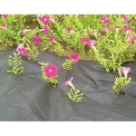 Folie antiburuieni, netesuta, neagra, 50 g/m2, 3.2×10 m