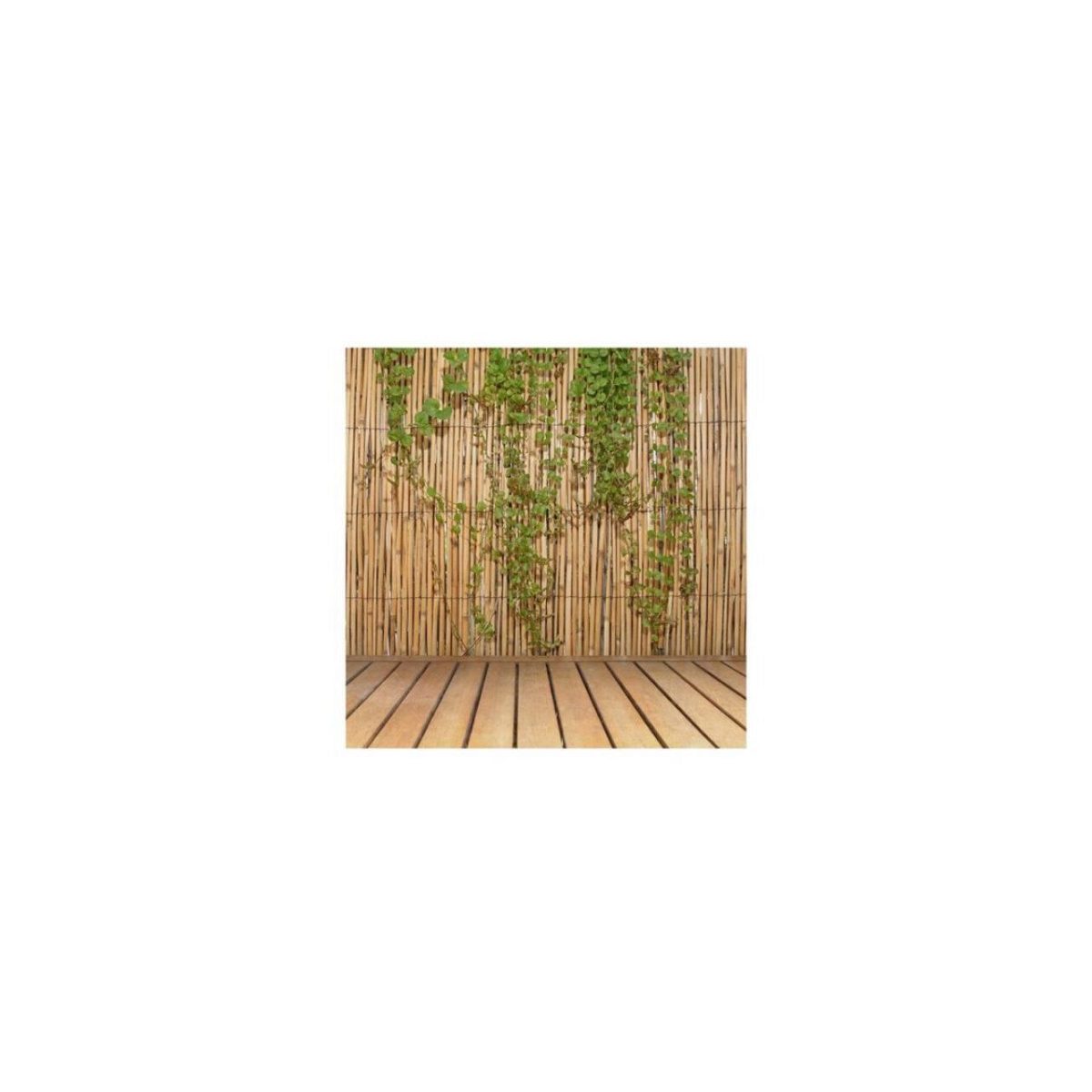 Gard/Paravan Din Bambus Natural, 5X2 M, Sarma Zincata