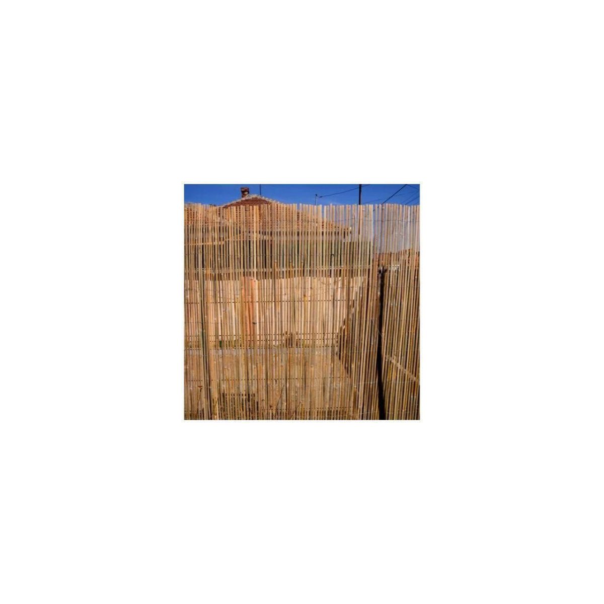 Gard/Paravan Din Bambus Natural, 5X2 M, Sarma Zincata
