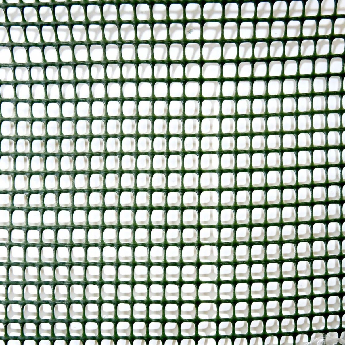 Plasa Pentru Gard, Plastic, 300 G/M2, Verde, 10X10 Mm, 50X1 M