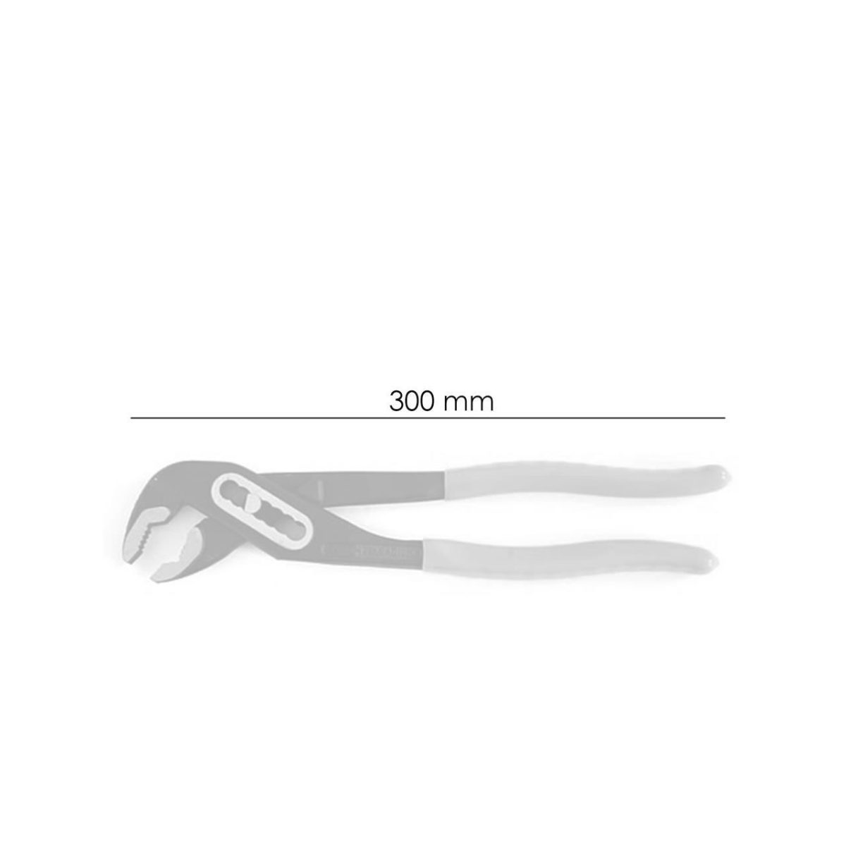Cleste Papagal 300 Mm, Strend Pro