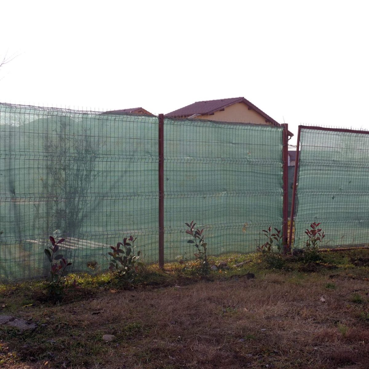 Plasa De Umbrire, Hdpe, 80 G/Mp, Grad De Umbrire 80%, Verde, 50X1.8 M - Imagine 7