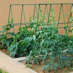 Ansamblu suport araci cu plasa pentru cresterea plantelor cataratoare, castraveti, fasole, mazare, 210 x 210 cm