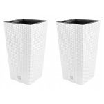 Set 2 ghivece de flori