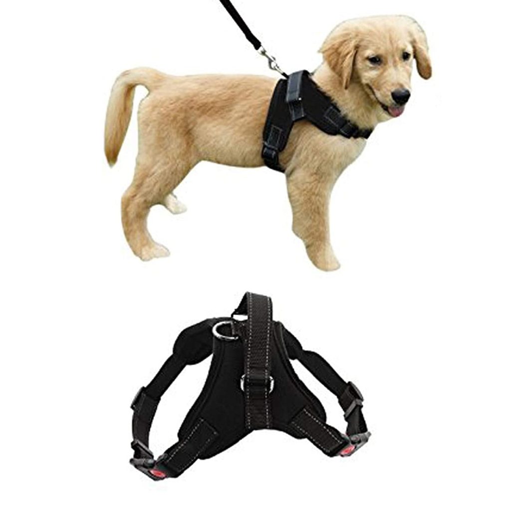 Bricolaj, Articole Casă, Gradina, Accesorii Auto