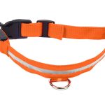 Zgarda iluminata cu LED Orange, pentru caine sau pisica, AVX-AG232C