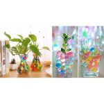 Bile decorative hidrogel, pentru udarea plantelor, multicolor, 5 g, Isotrade