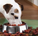 Castron Metalic pentru hranire animale de companie 29cm