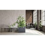 Jardiniera decorativa, Urbi Case Beton Effect, 58x18x49.8 cm, gri, Prosperplast, Old