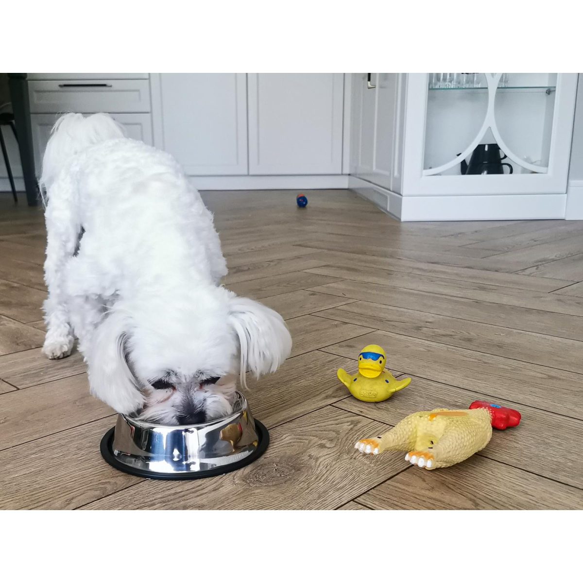 Castron Metalic Pentru Hranire Animale De Companie - 22Cm