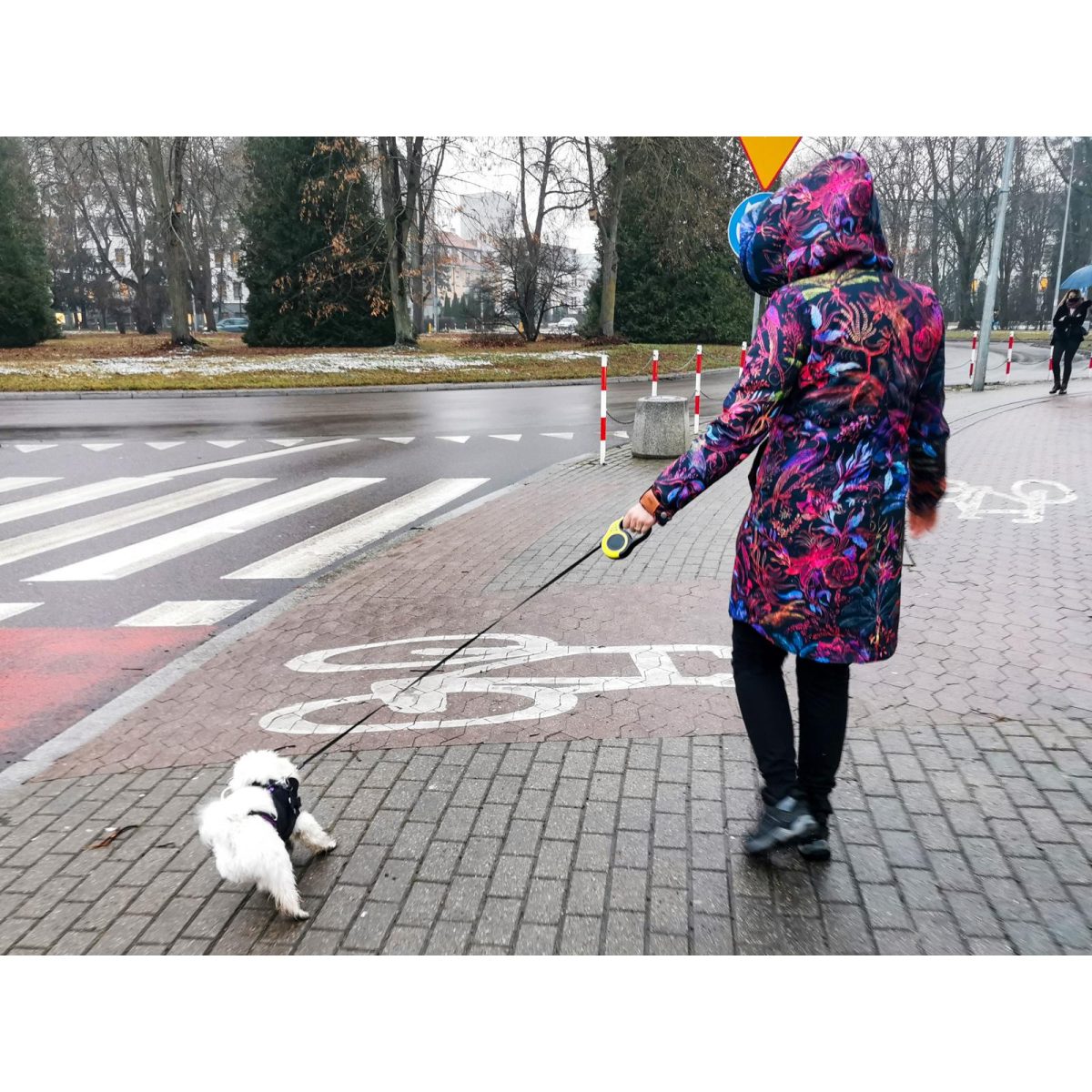 Lesa Retractabila Automata 3M Lungime Pentru Caini De Pana La 8Kg