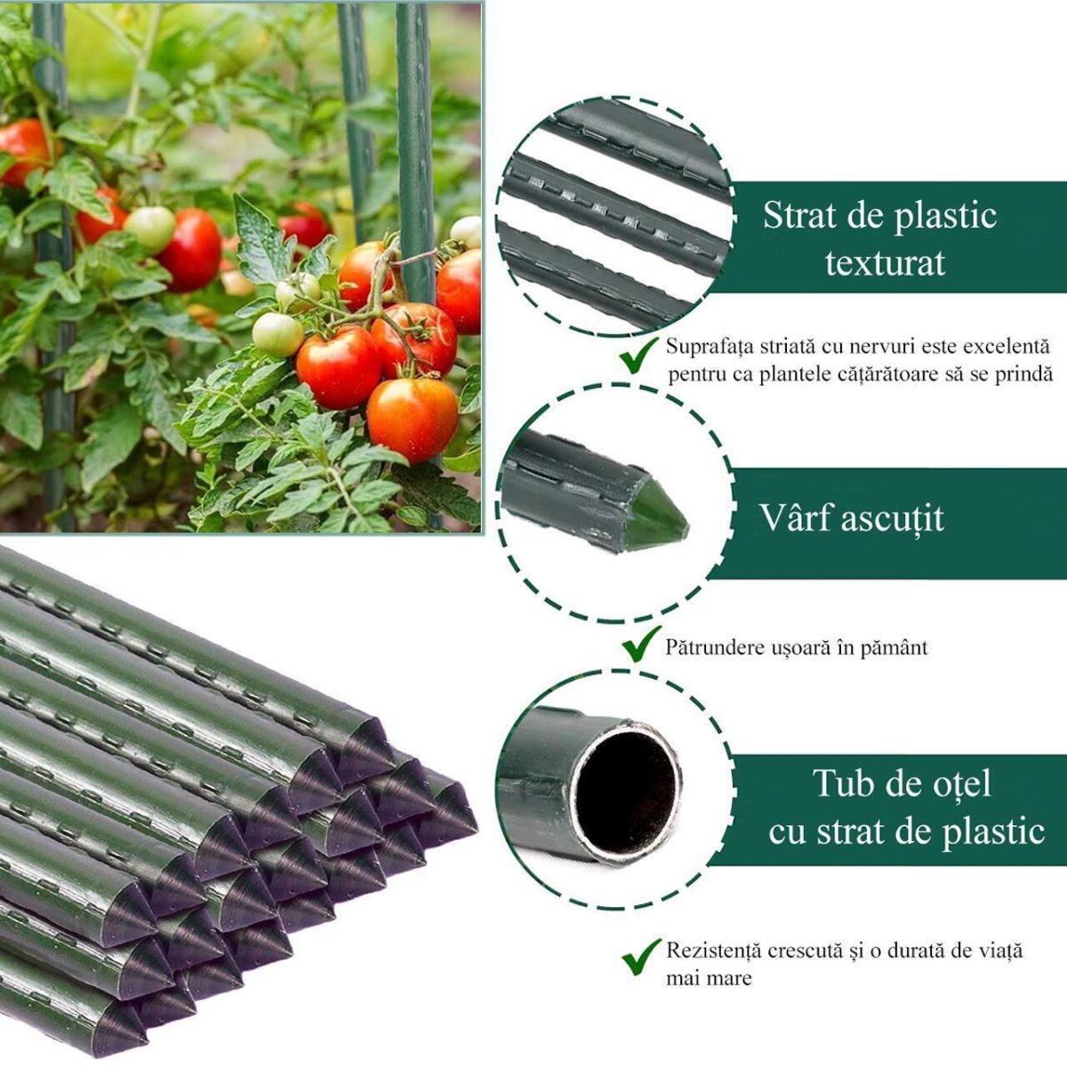 Set 25 Araci/Suport Pentru Rosii, Castraveti, Fasole, Metal + Pvc, Verde, 210X1.1 Cm, Artool