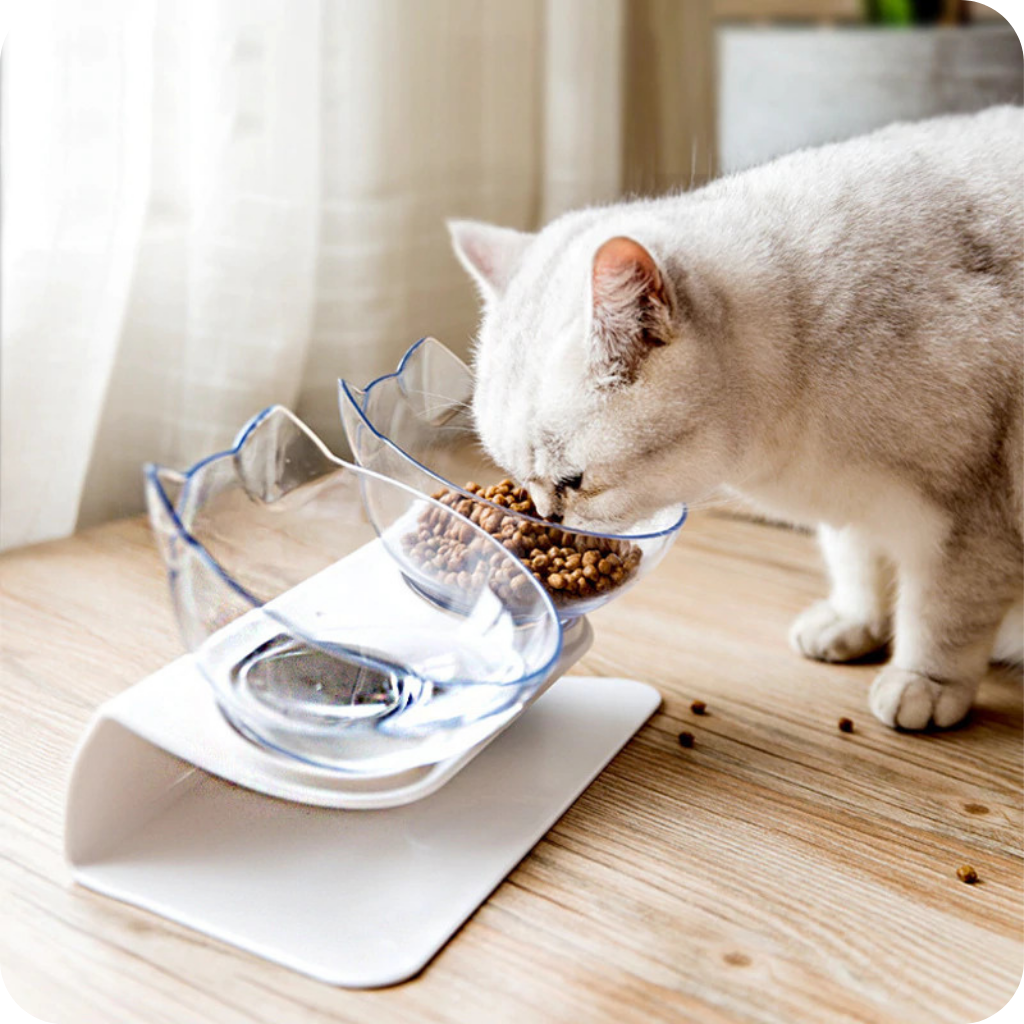 Untitled_design_40_1400x-3.png Suport inclinat cu 2 boluri pentru hranire pisici AG684B - imagine 1