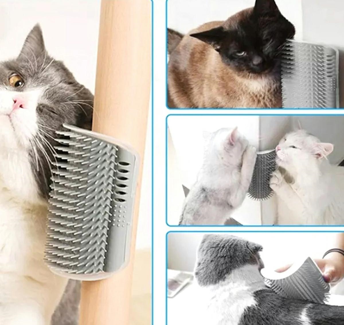 ZW15_zw15_06-1.jpg Perie inteligenta de colt pentru auto-ingrijire pisici - imagine 5