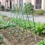 Ansamblu suport araci cu plasa pentru cresterea plantelor cataratoare, castraveti, fasole, mazare, 210 x 210 cm - imagine 6