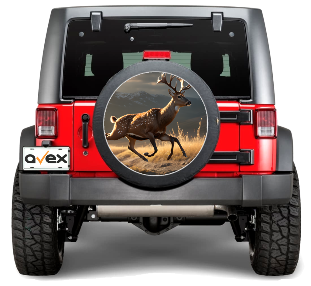 Bricolaj, Articole Casă, Gradina, Accesorii Auto