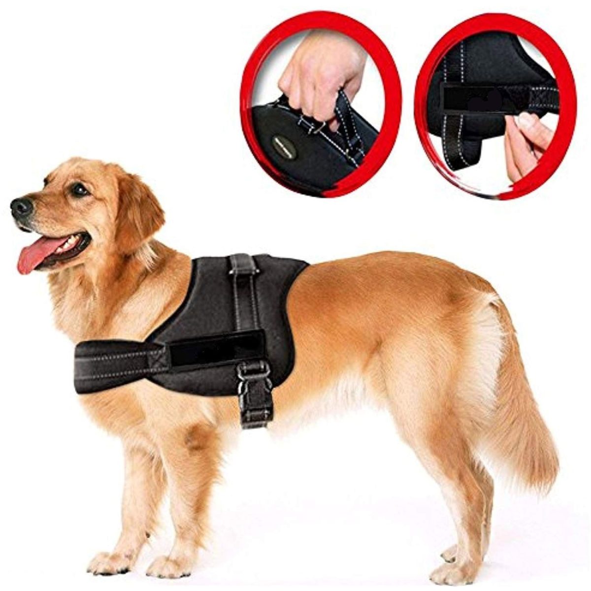 Ham Pentru Caini Senior Dog S (60 - 75Cm)