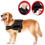 Ham pentru caini SENIOR DOG S (60 - 75cm) - imagine 5