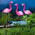 Set 3 x Lampa Solara estetica exterioara de gradina model „Flamingo”